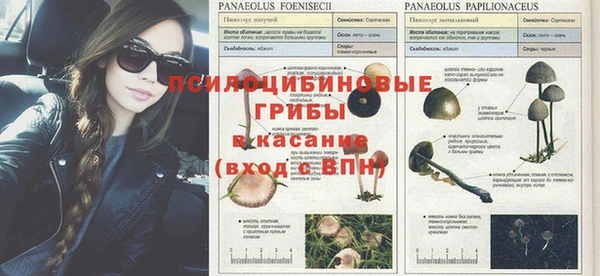 кокаин перу Алзамай