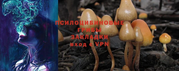 ECSTASY Новокубанск