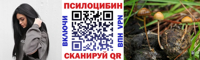 Псилоцибиновые грибы прущие грибы  Сосенский 
